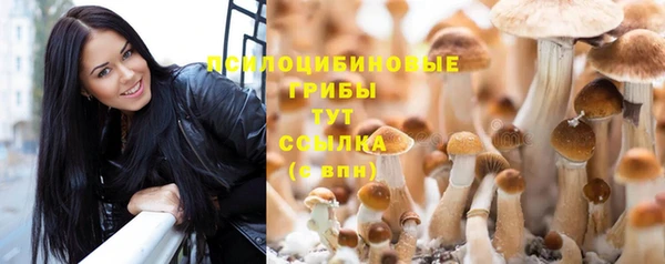 соль ск Волоколамск