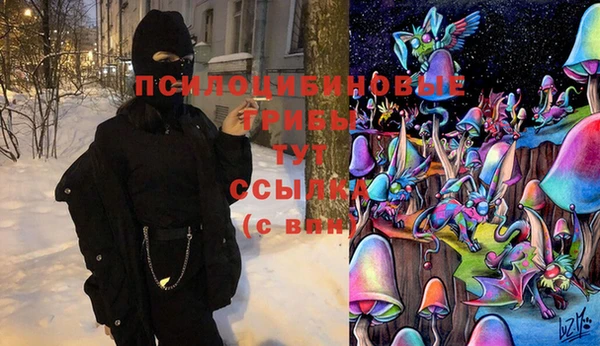 соль ск Волоколамск
