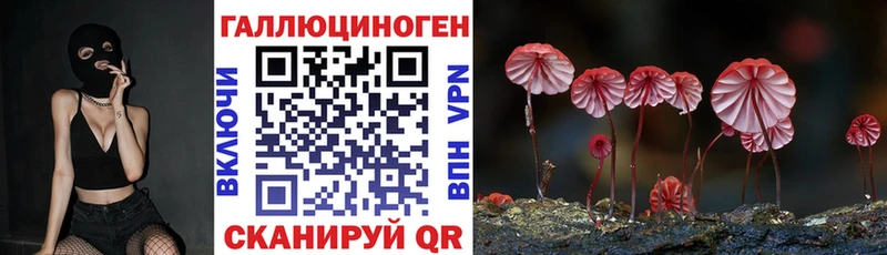 хочу наркоту  Крымск  Псилоцибиновые грибы Cubensis 